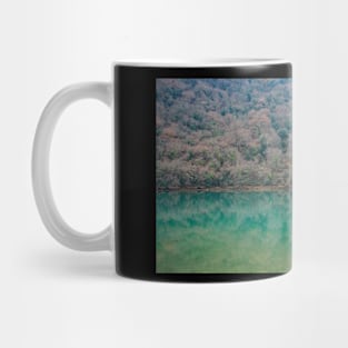 Limski Kanal in Istria, Croatia Mug